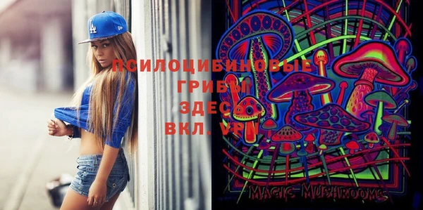 твердый Медногорск