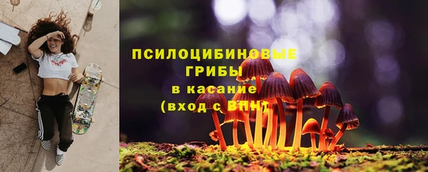 кокс Медвежьегорск