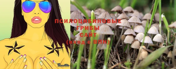 кокс Медвежьегорск