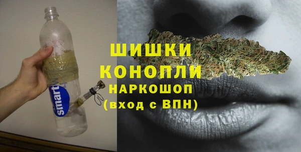 твердый Медногорск