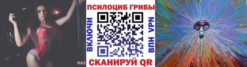 Купить закладки  Амурск  Галлюциногенные грибы Psilocybine cubensis 